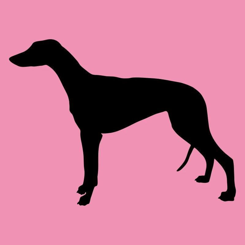 Greyhound