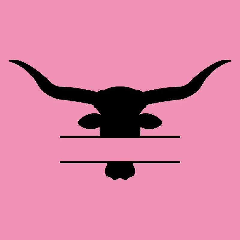 Longhorn split frame