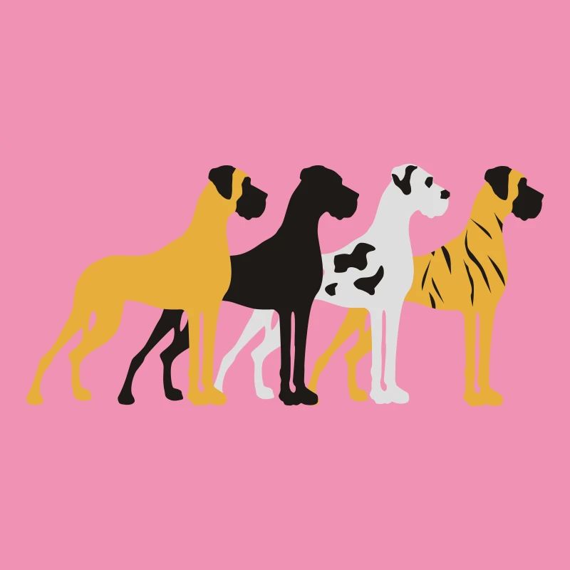 Four basic colors Great Dane