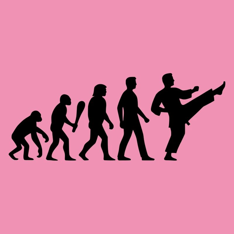 Karaté Évolution