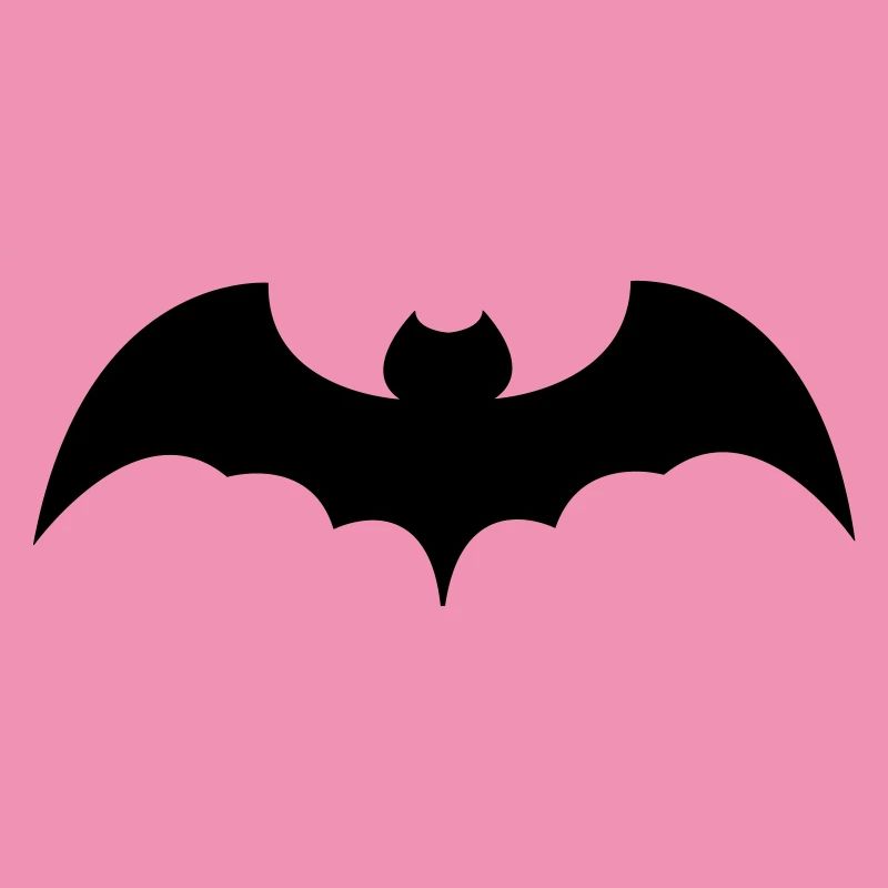 chauve-souris