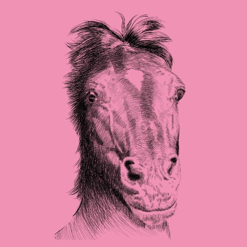 Pferd