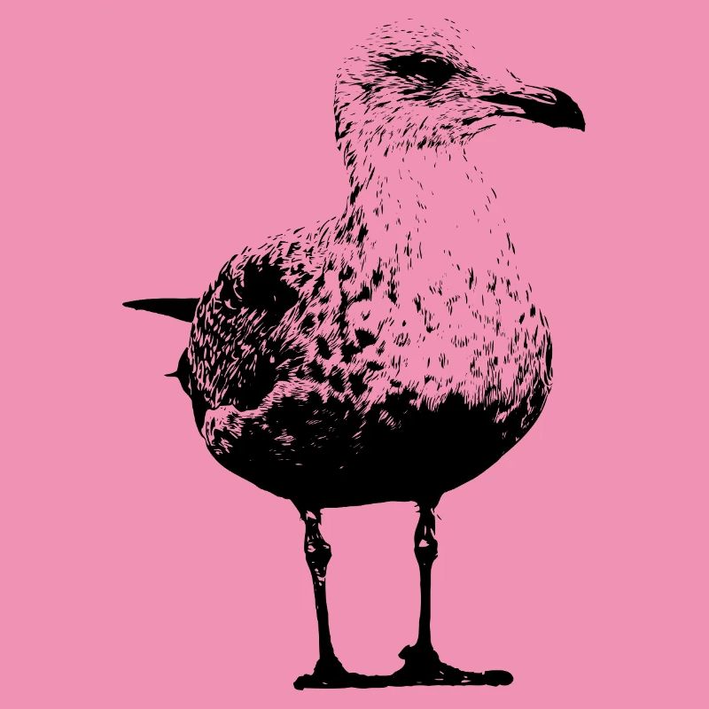 Möwe
