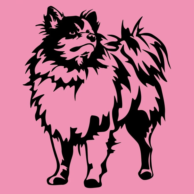 Spitz