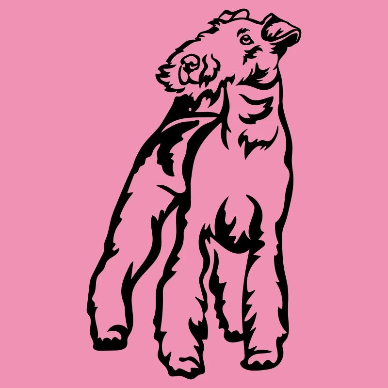 Foxterrier