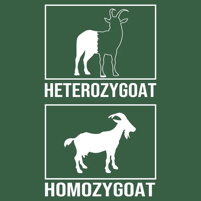Molecule Structural Formula