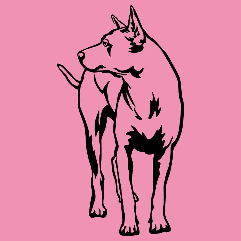 Thaï Ridgeback