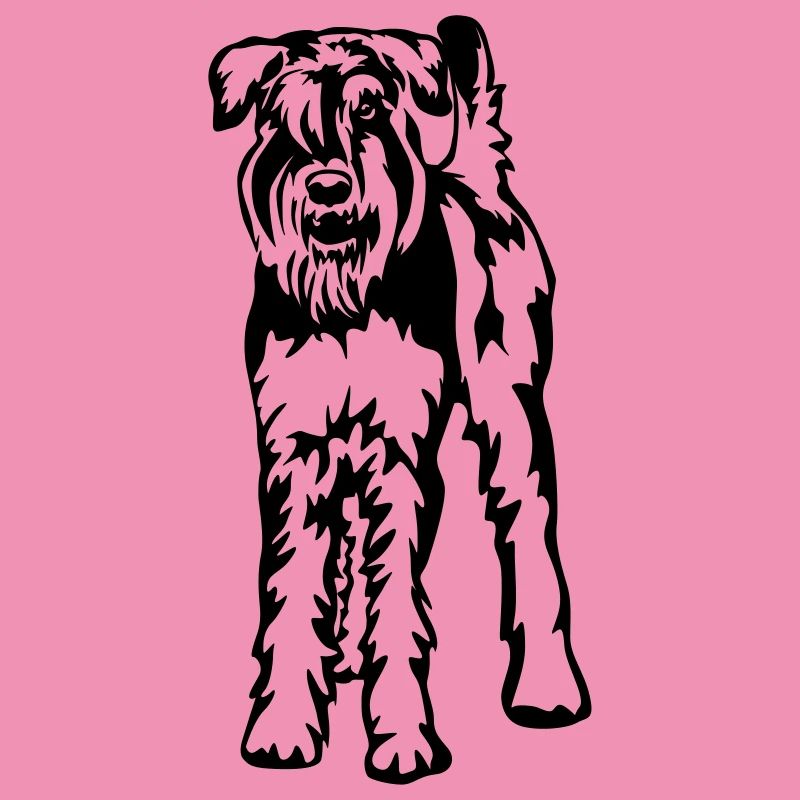 Schnauzer géant