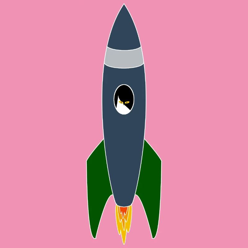 Cat in space