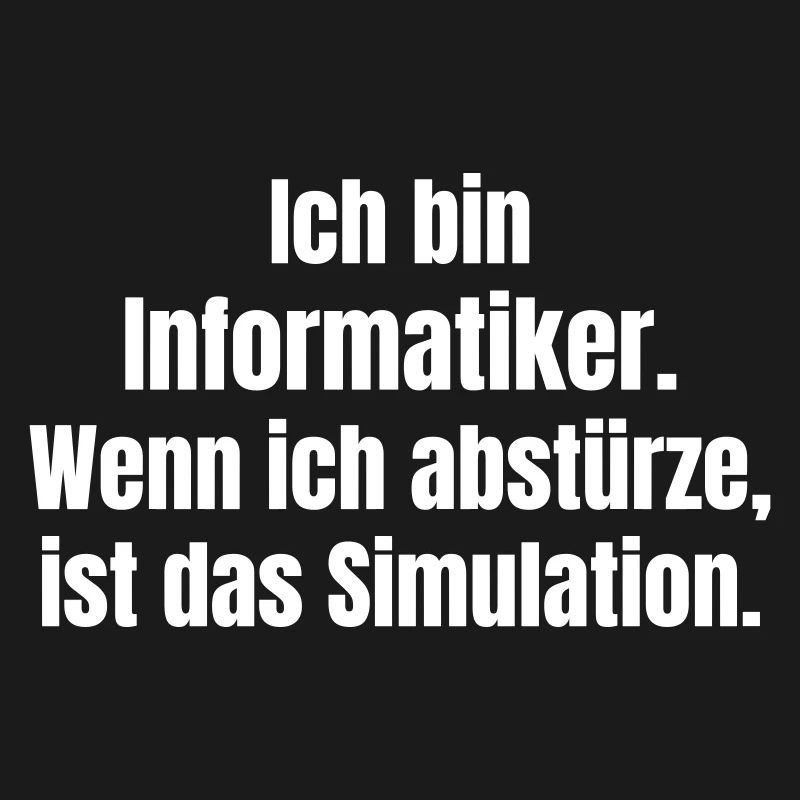 I'm a computer scientist – crash as a simulation