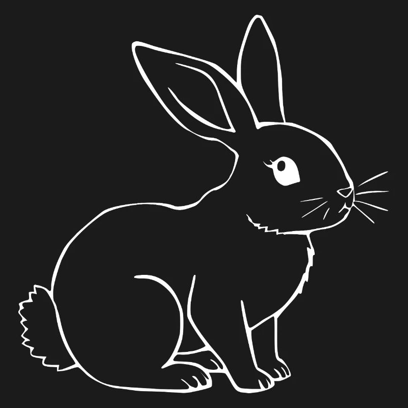 Rabbit Bunny Bunny Dwarf Rabbit Gift