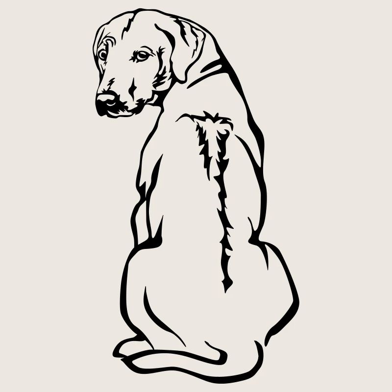 Rhodesian Ridgeback
