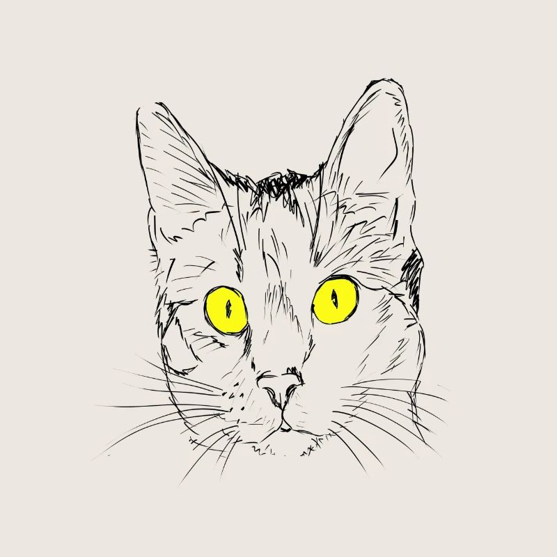 Chat, gueule de bois, amant de chat, tête de chat, oeil de chat