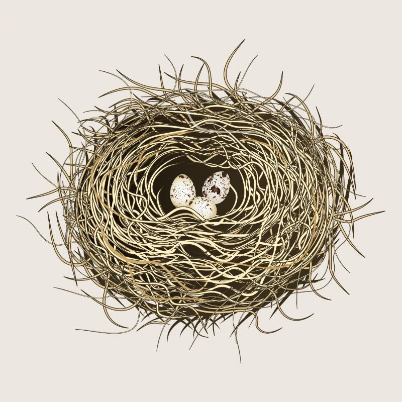 Vogelnest oder Osternest mit drei Vogel Eier