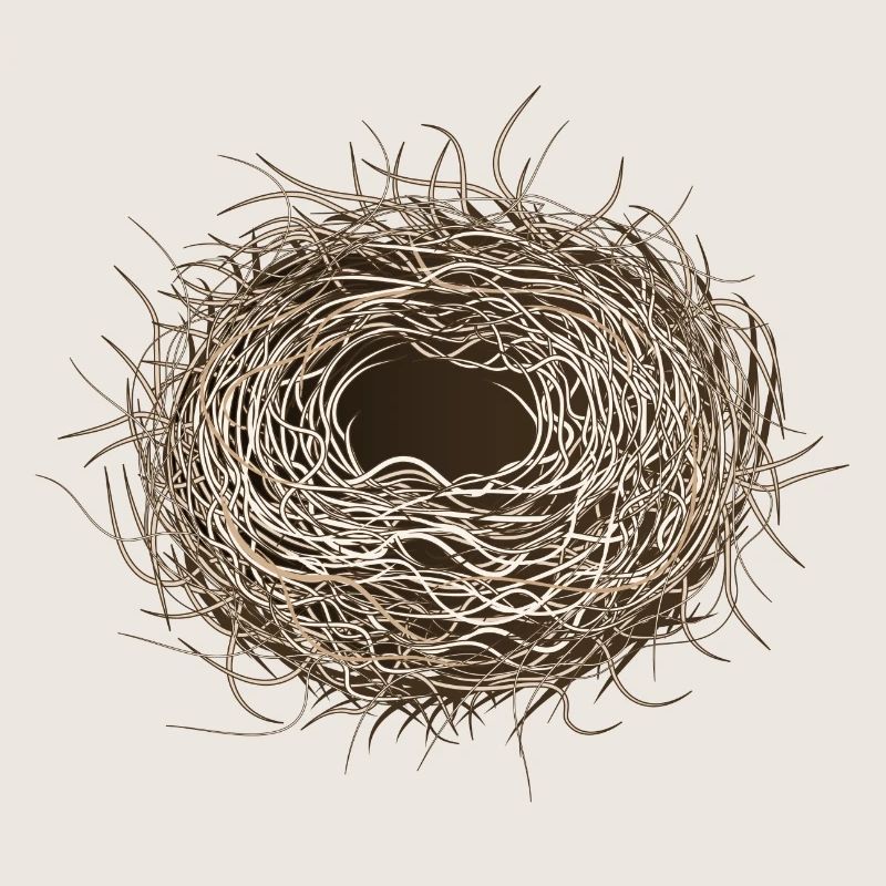 leeres Vogelnest oder Osternest zum Frühling