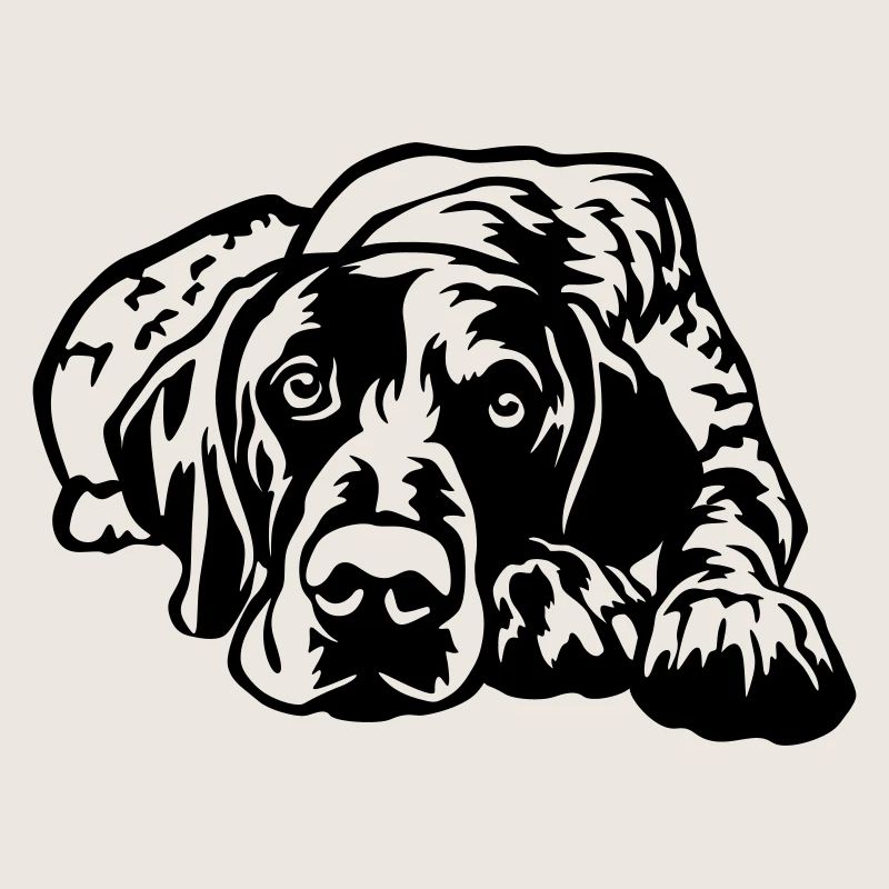 German Shorthaired Pointer