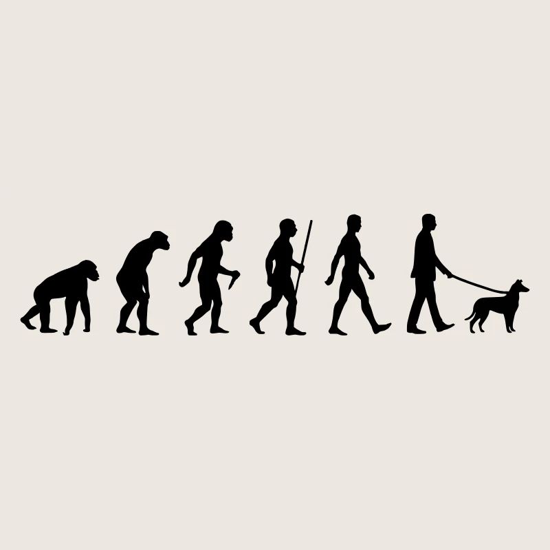 Evolution Smooth Collie Mann