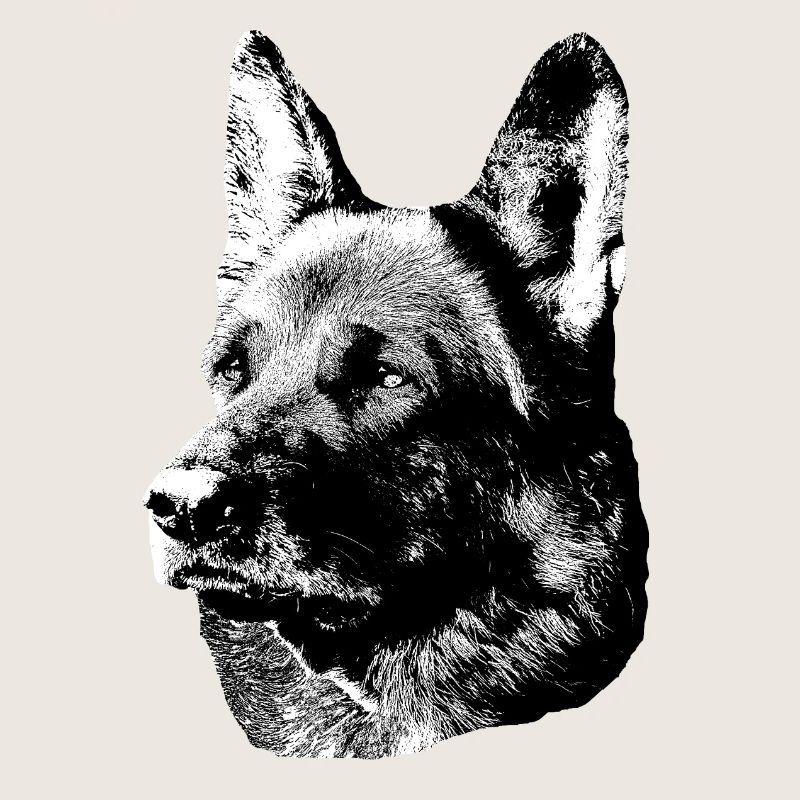 German Shepherd,Dog head,German Shepherd,Dogs