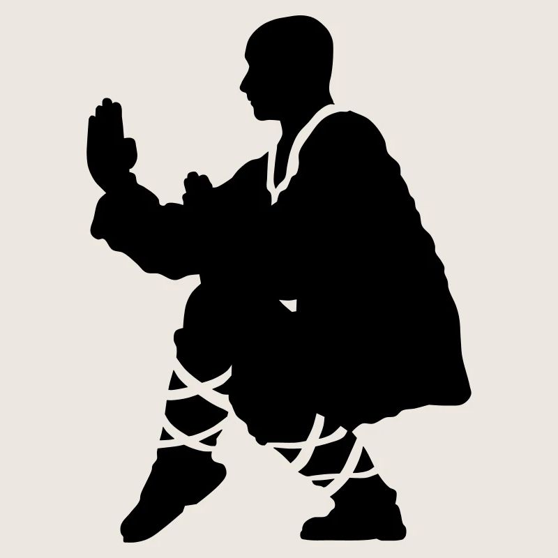 Kung fu Shaolin