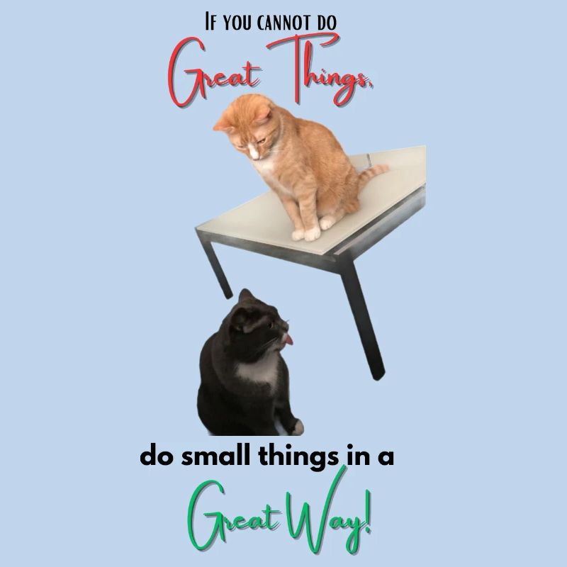 If you cannot do Great Things, do small things...