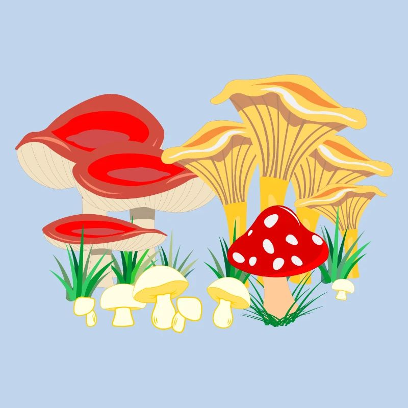 Composition colorée des champignons