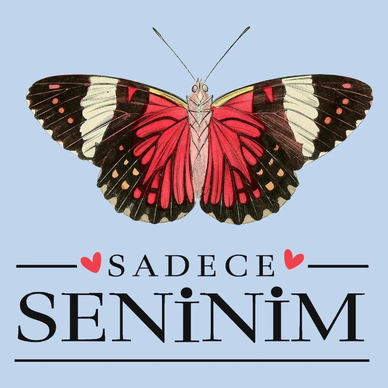 Conception créative de papillons – Sadece Seninim