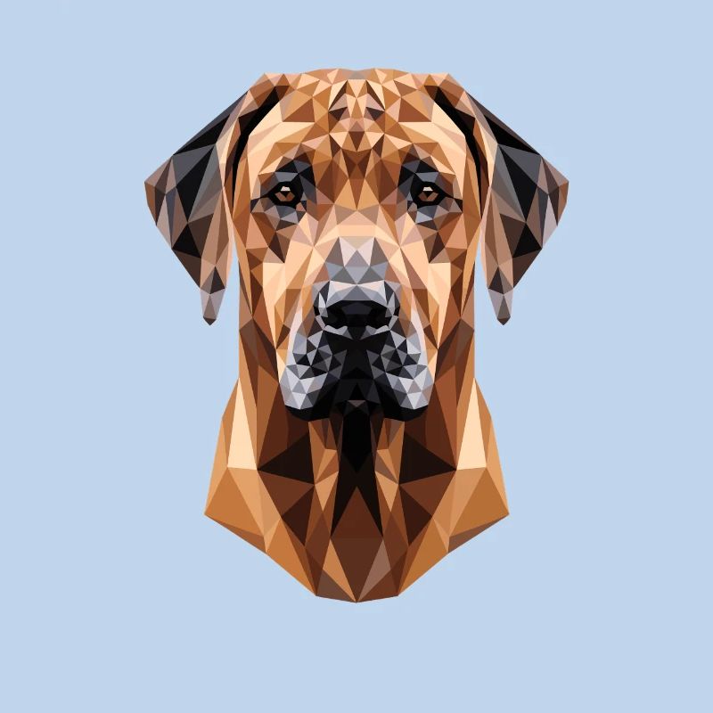 Chiens de chasse Rhodesian Ridgeback Pride Ridgeback