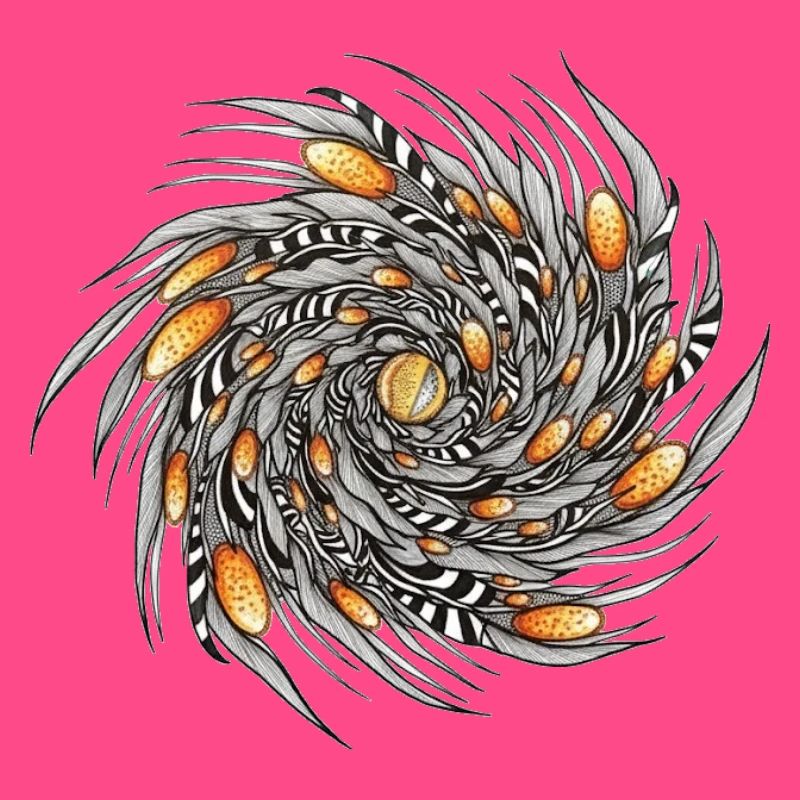 Spiral Spring Pattern