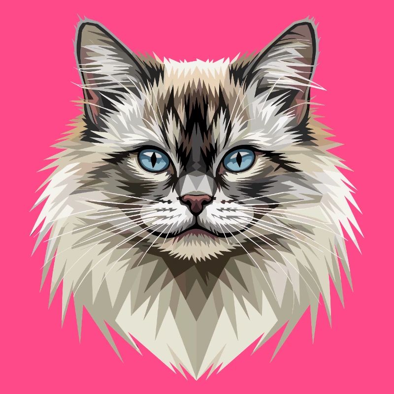 Chat Birman Chat Birman Sacré Chat Birman Mignons Chats Birman