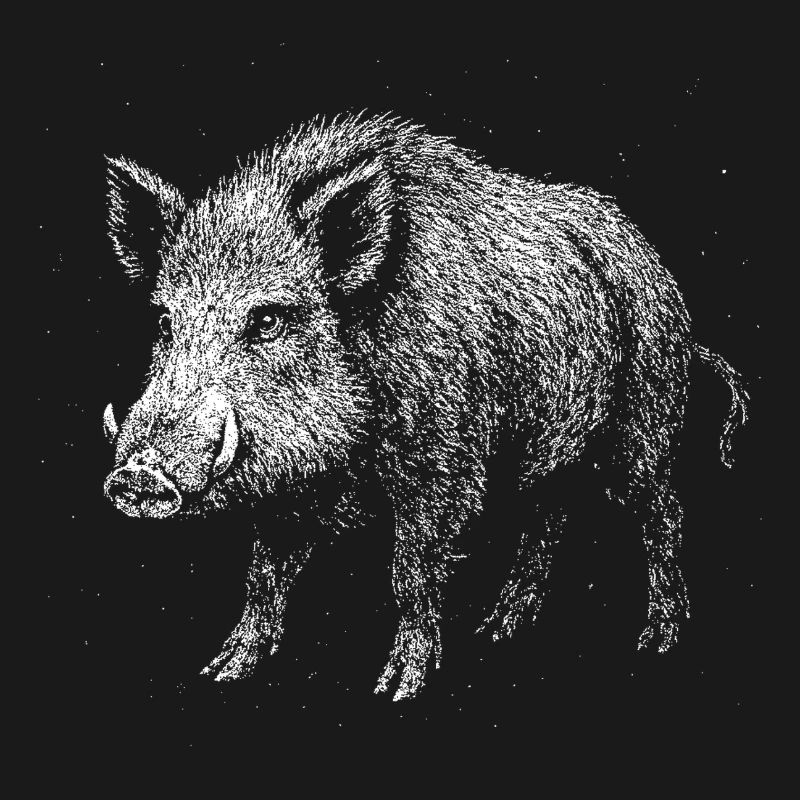Sanglier
