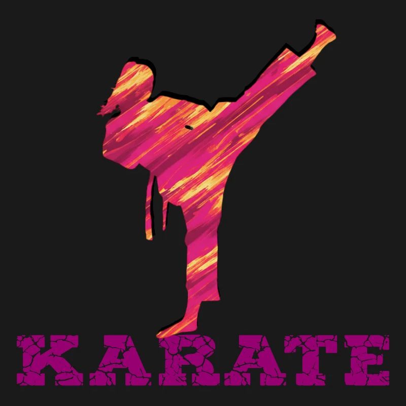 Karate Silhouette Farbexplosion