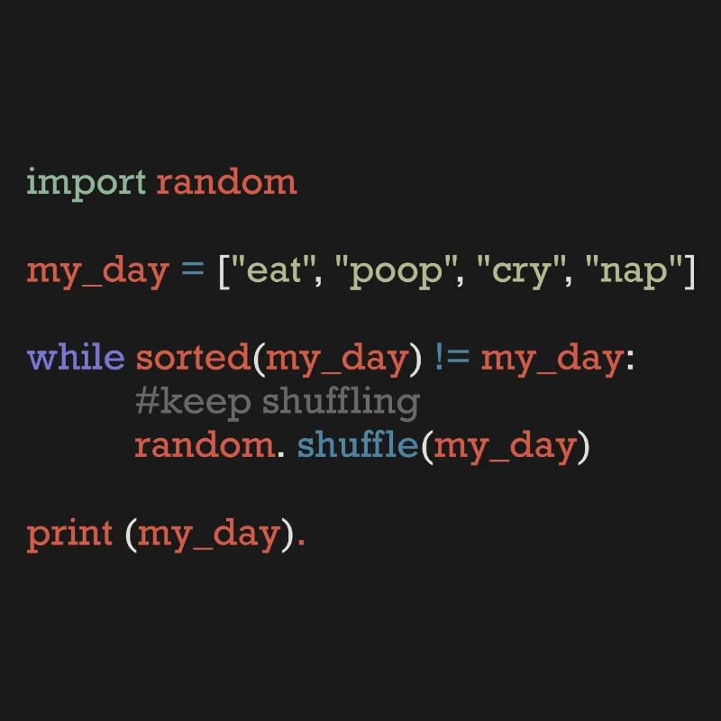 Funny python code about everyday life, baby