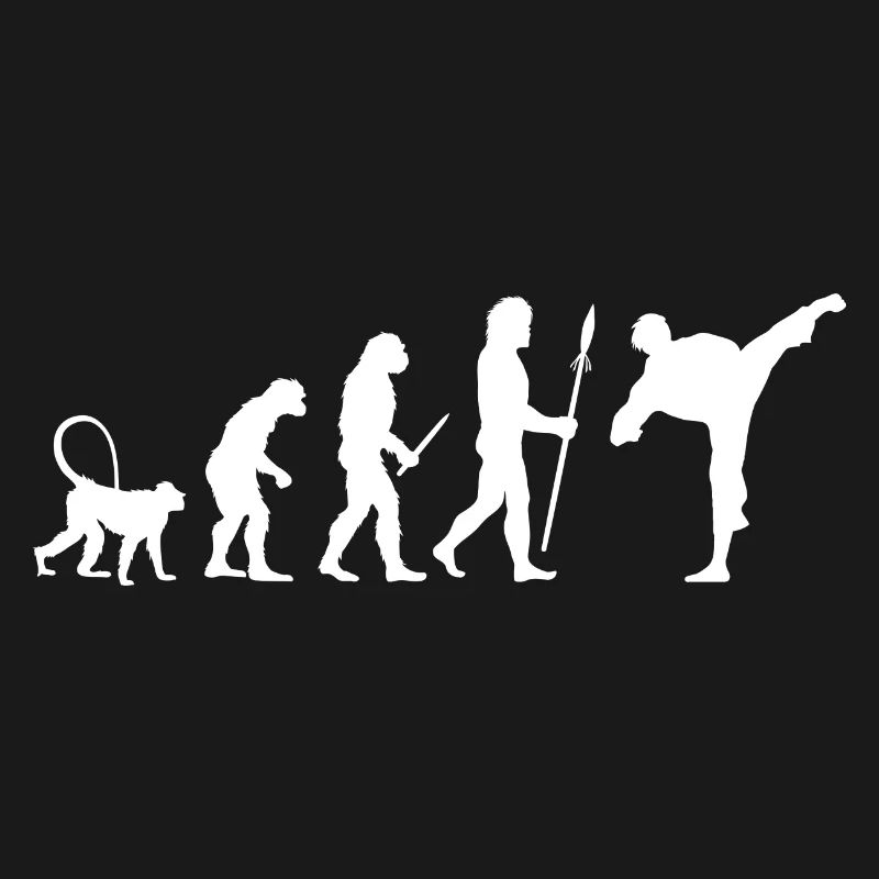 Évolution du karaté