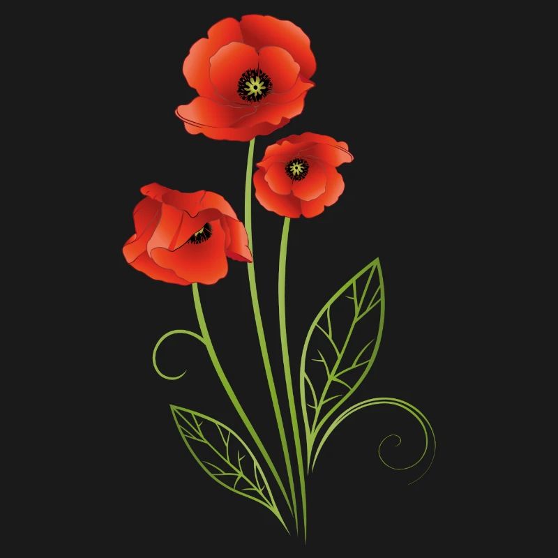 Rote Mohnblumen Mohn Sommer