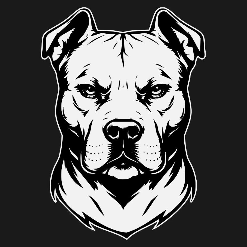 Conception Pitbull noir et blanc