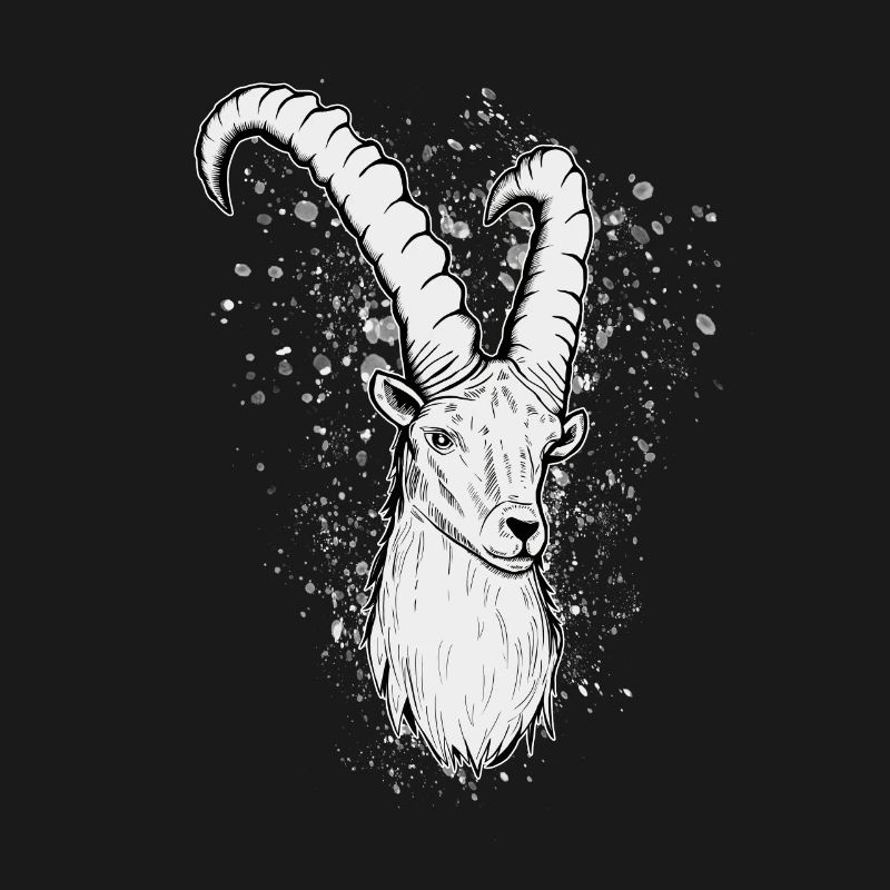 Steinbock Sternzeichen Geschenk