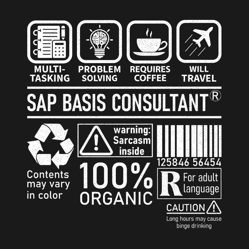 Consultant SAP Basis Consultant : résolution de problèmes multitâches