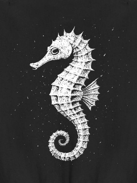 Hippocampe