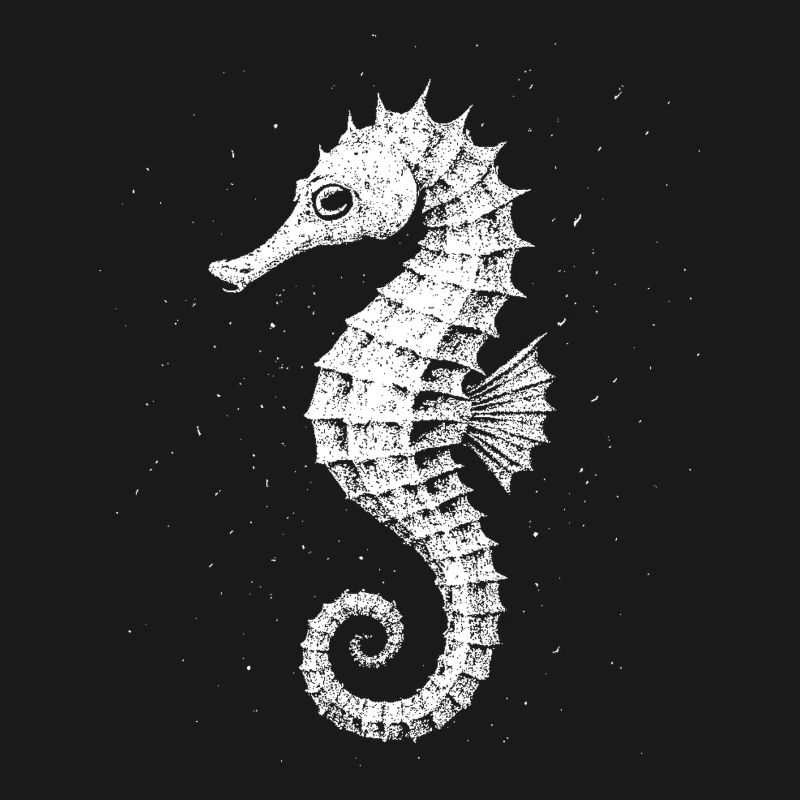 Hippocampe