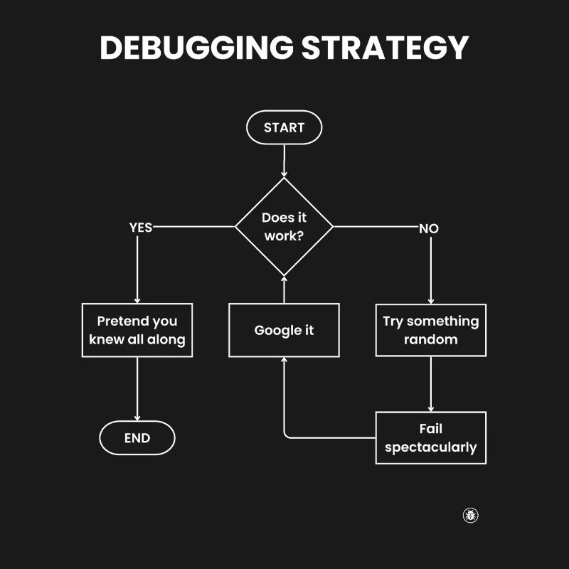 Debugging Strategy Flowchart - Does It Work Gift