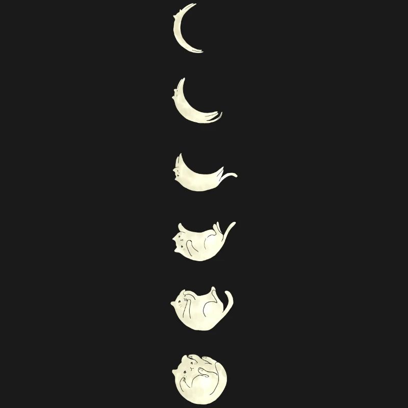 Moon Cat