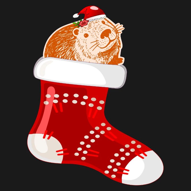 WEIHNACHTSMANN WEIHNACHTSSTRÜMPFE CAPYBARA