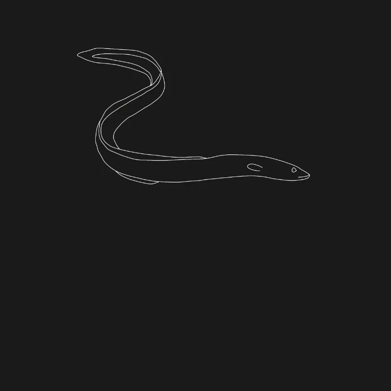 eel