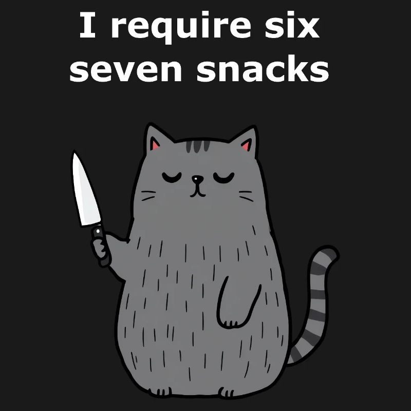 6-7 Internet Meme 6 7 Snack Katze