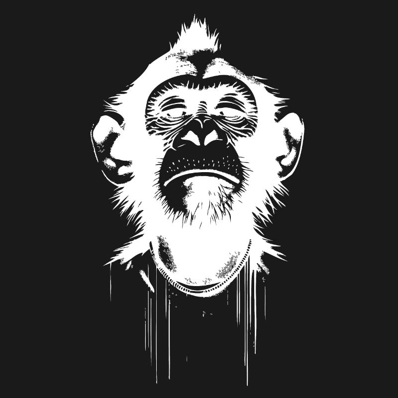 Monkey President