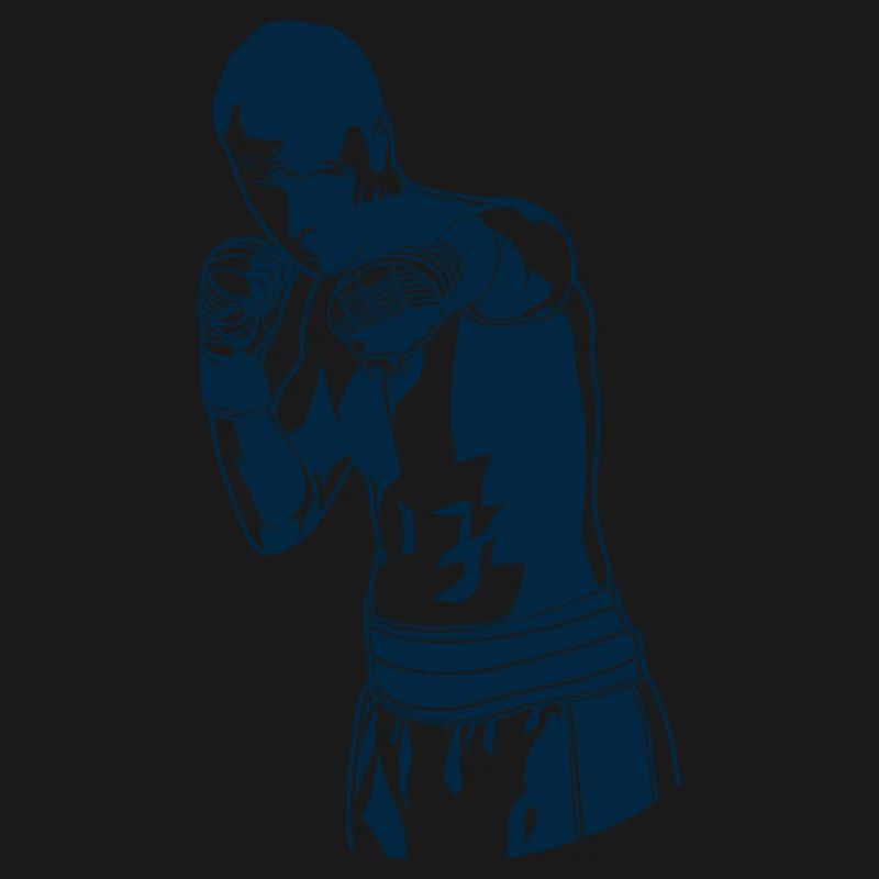 Boxer