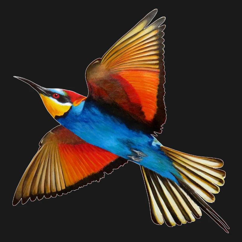 Bee-eater Bird