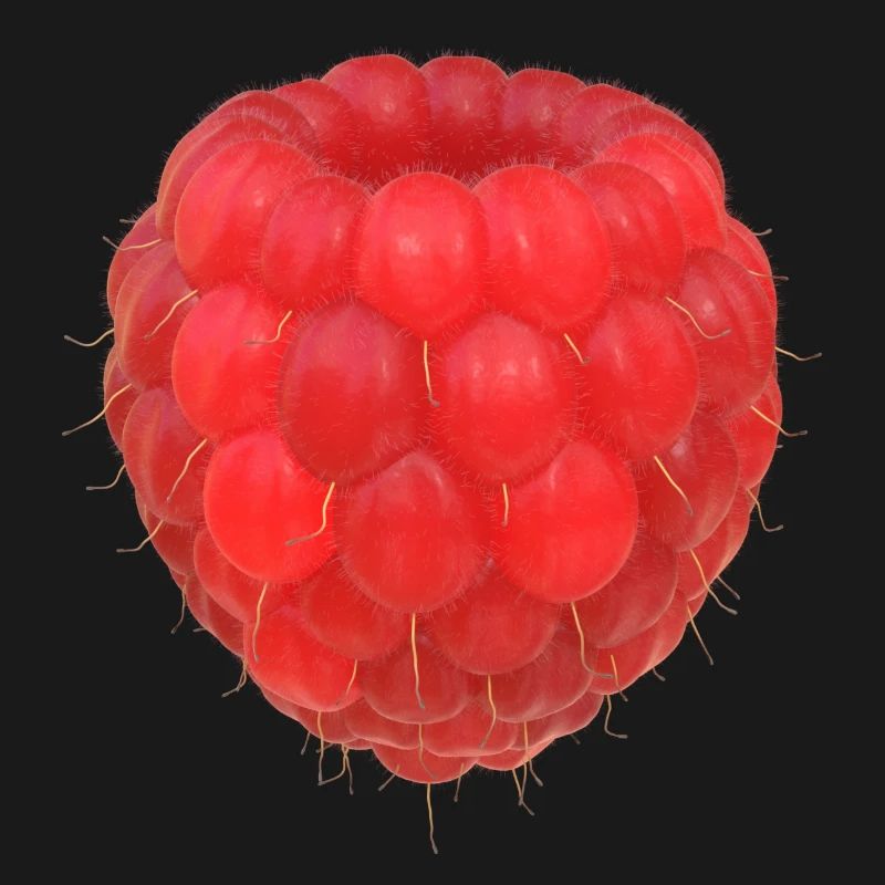 Modèle de grappe de framboises