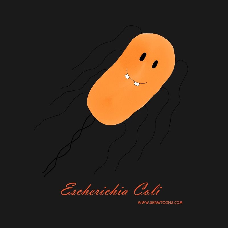E. coli / Escherichia coli - bacterium