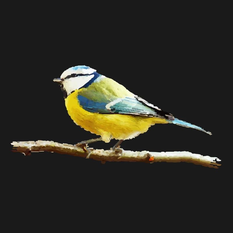 Titmouse